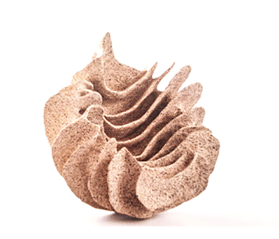 Animales marinos no. °10