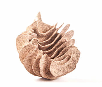 Animales marinos no. °10