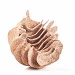 Animales marinos no. °10