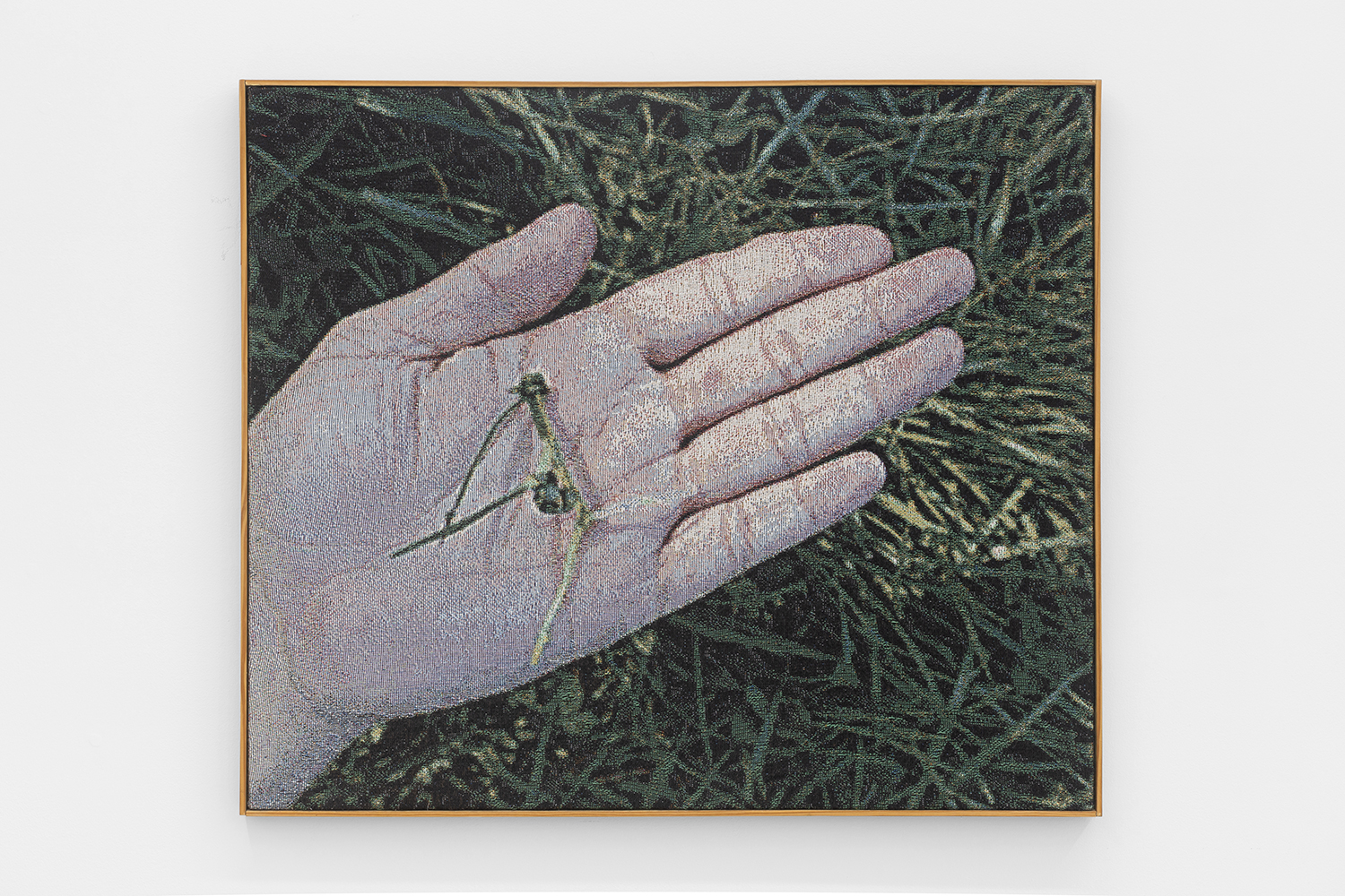  AP_2, Jacquard Woven