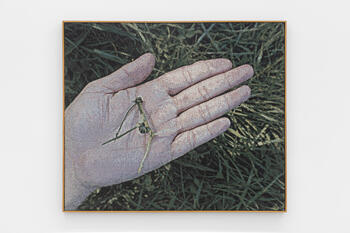  AP_2, Jacquard Woven