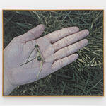  AP_2, Jacquard Woven