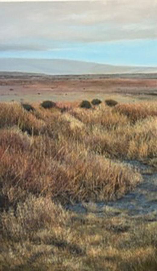 Agua en el desierto 2