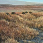 Agua en el desierto 2