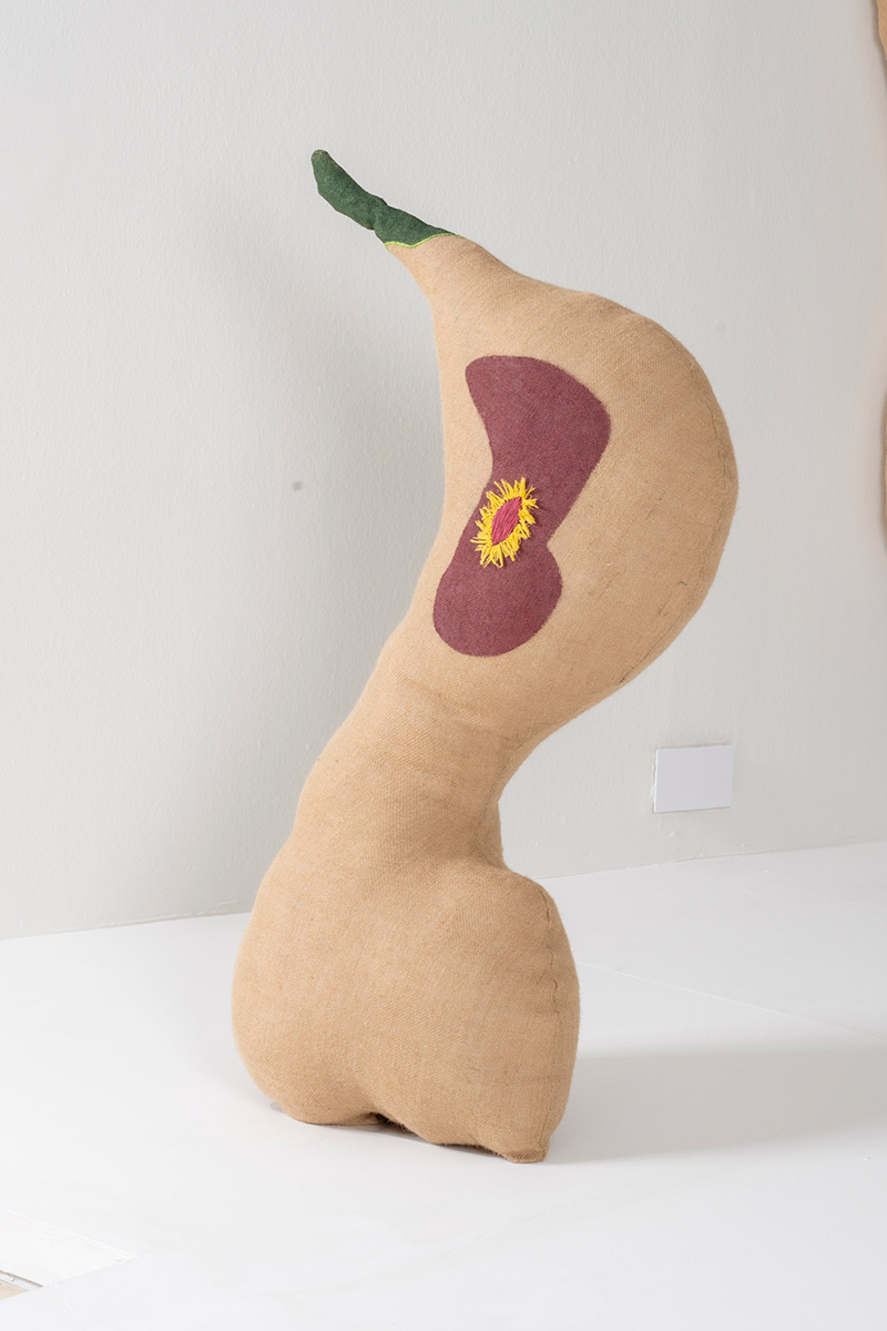 Untitled Serie Softbody