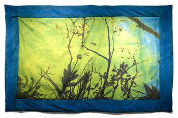 Thriving beyond soil