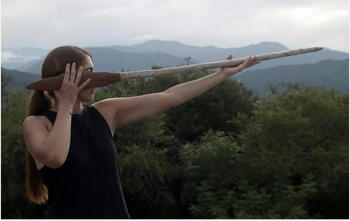 Contorno biográfico II