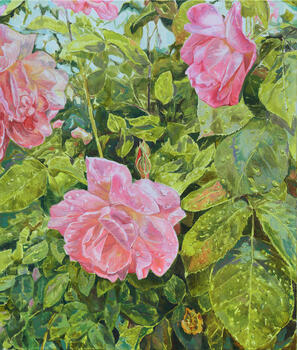 Plant Portrait (Rainfall and Roses)