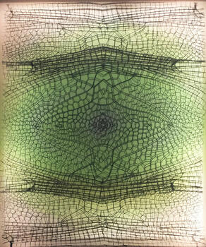 Libellulidae Oxythemis