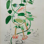  Cobea (Pisum Sensuale)