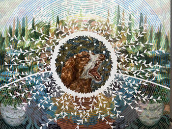 La naturaleza del can