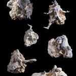 Tanteando en la noche las manos se vuelven mil ojos