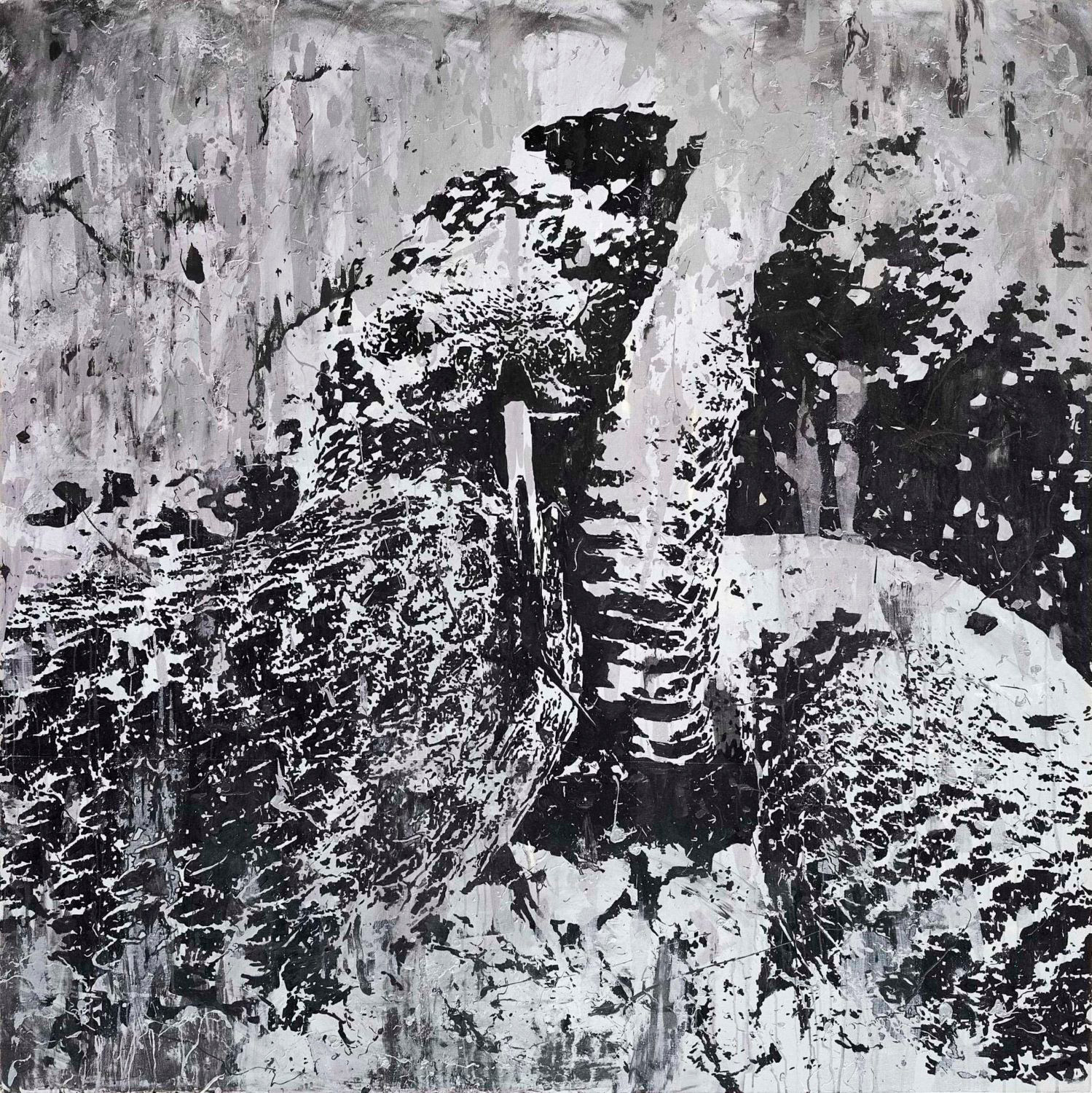 Los ojos del desierto. Serie Horizontes Robados