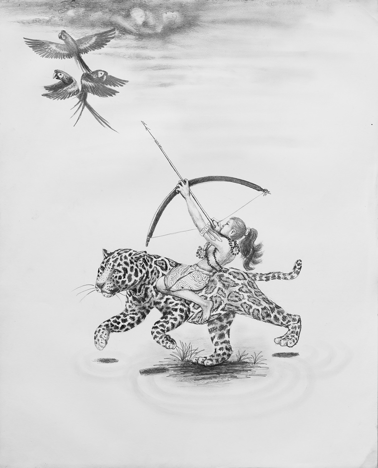 Amazona sobre otorongo