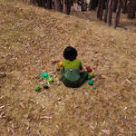 Soy tierra, soy raíz