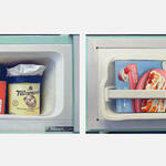 Freezer Diptych