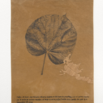 Sin título seria Riturales