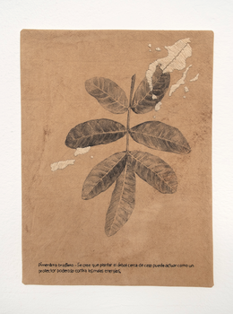 Sin título. Serie Rituales