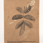 Sin título. Serie Rituales