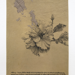 Sin título. Serie Rituales