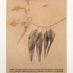 Sin título. Serie Rituales