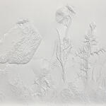 Mi soledad y el tiempo