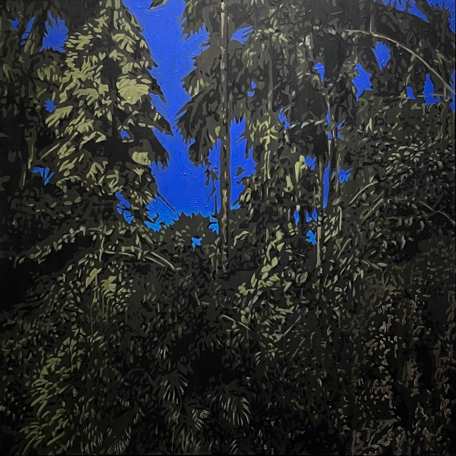 Anochecer en Cacaos, Orocovis