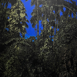 Anochecer en Cacaos, Orocovis