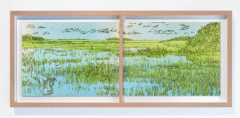 Mirror of Grasses II