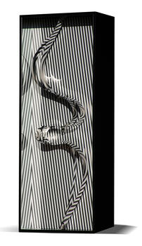 Formes en contorsion