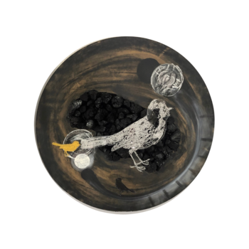 Bird Series Resurrection (Ashes & Diamonds)