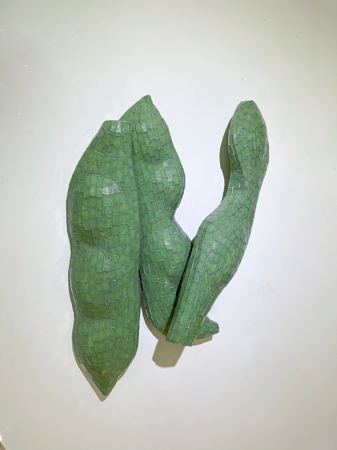 Chauchas | Green Beans