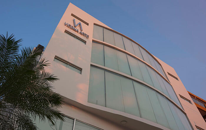 Viedma Galería de Arte 