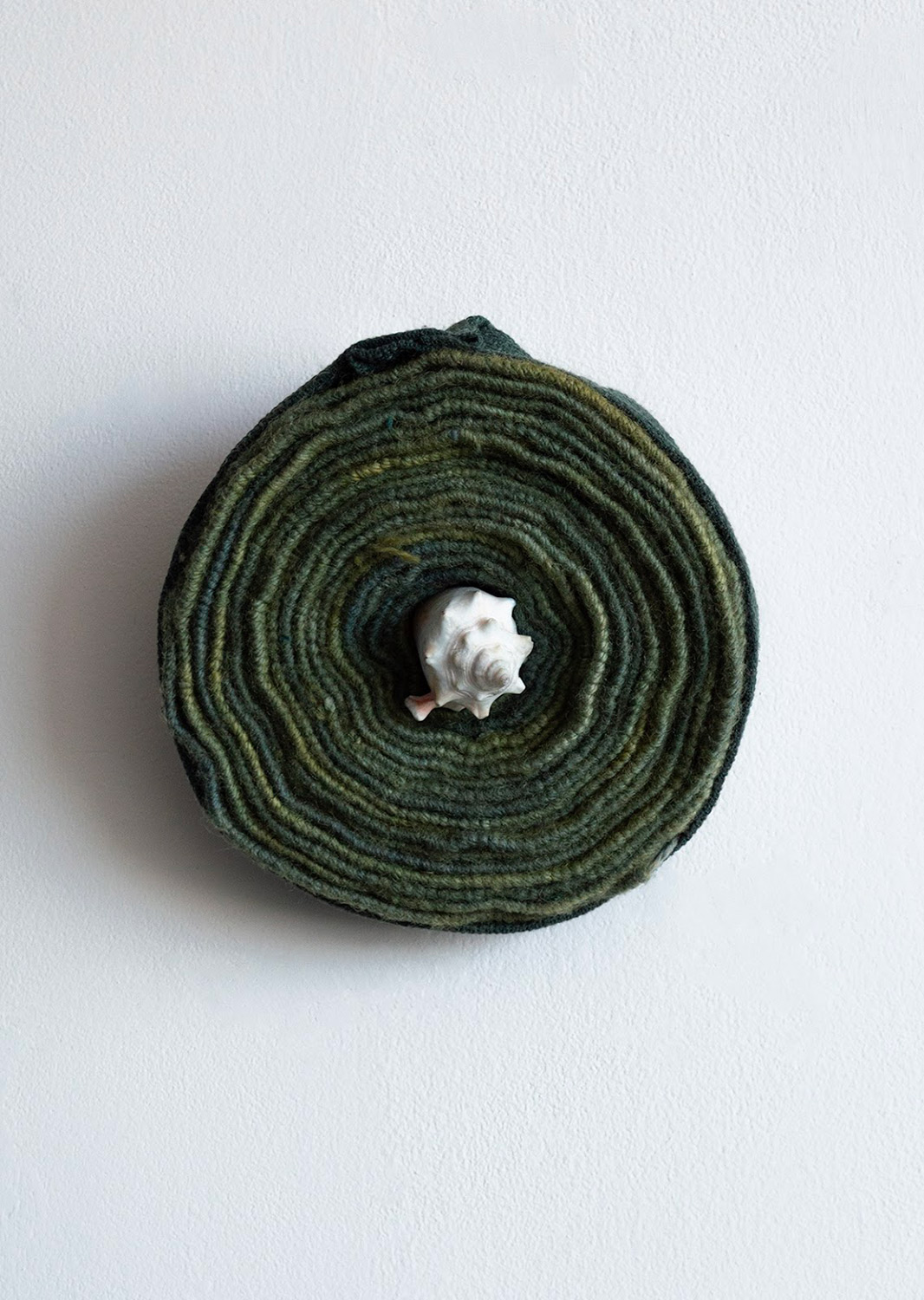 Espiral de caracol # 2