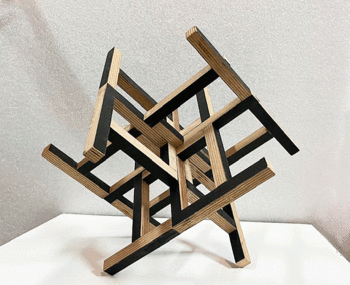 Rodchenko Japonesa negra