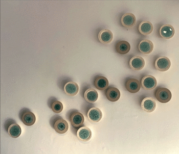 Acuifero Guarani Fósil