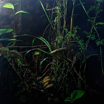 De la Serie Matorrales