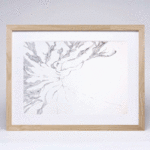 Abrigo - Cerro Guazú