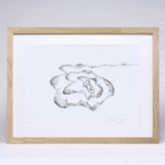 EL OMBLIGO DEL MUNDO