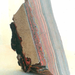 Nota de partitura para cenote #45