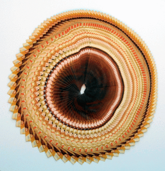 Anillos del tiempo (Circle of the times)