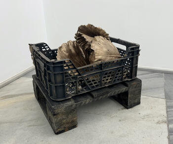 Descomposición: el valor de lo pequeño. 1 Unidad. II