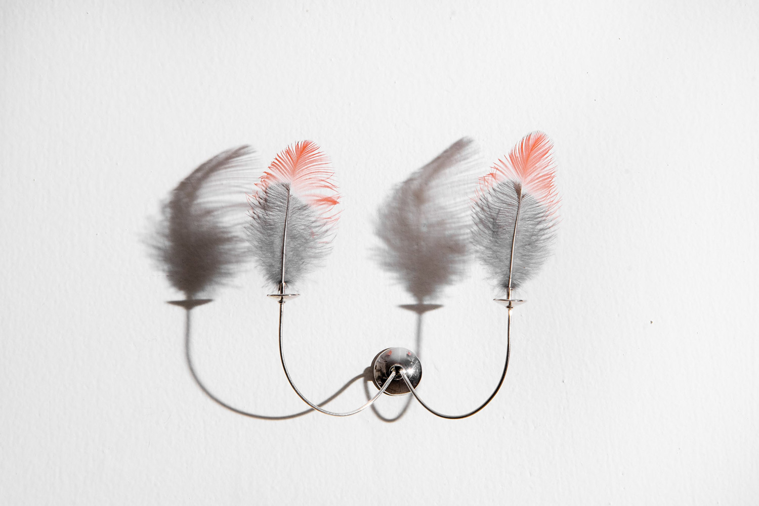 Votive for an Ornithologist (Votivo para un ornitologo)