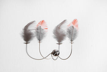 Votive for an Ornithologist (Votivo para un ornitologo)