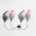 Votive for an Ornithologist (Votivo para un ornitologo)