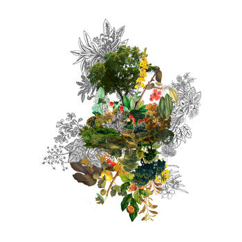 Paisaje 62. Serie Cambios de estado.