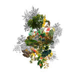 Paisaje 62. Serie Cambios de estado.