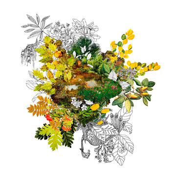 Paisaje 69. Serie Cambios de estado