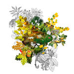 Paisaje 69. Serie Cambios de estado