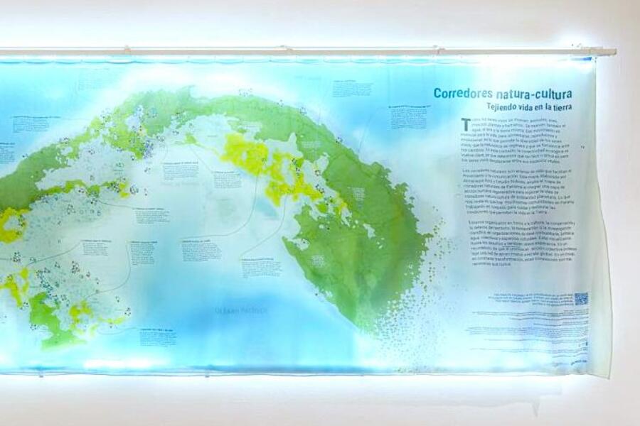 Cúmulus: diez años de ecología y colaboración en Panamá